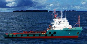 In the second quarter alone, Harbor Star posted a net loss of P4.357 million, a reversal from P48.206 million income made in the same period last year. Photo from www. harborstar.com.ph