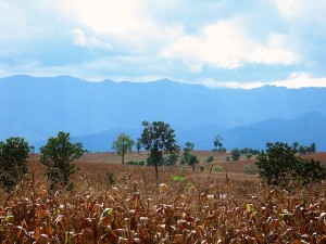 Tak_province_Burmese_mountains