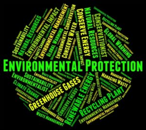 without the necessary Environmental Compliance Certificate and therefore, without the necessary studies on the environmental impacts of the proposed port expansion on the shores of Davao City