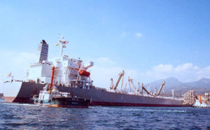 Photo from http://www.harborstar.com.ph/services/service/harbor-assistance