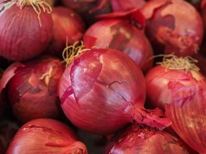 Onion imports