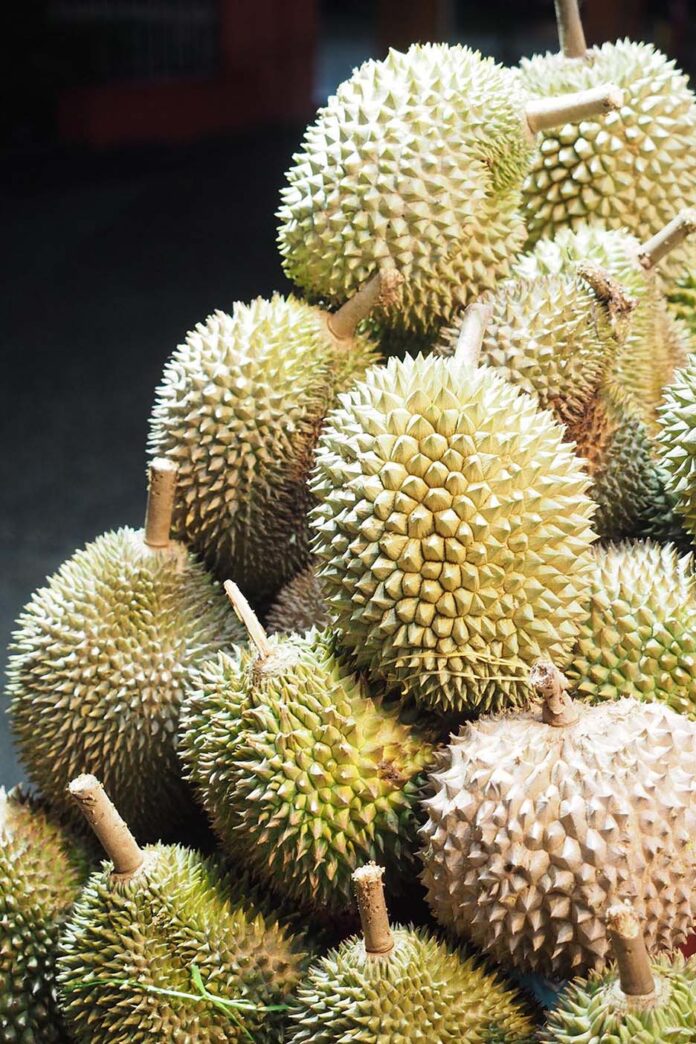 PH ships first batch of durians to China