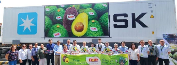 PH’s first Hass avocado shipment off to SoKor